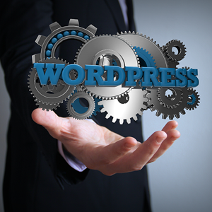 Wordpress themes for small business